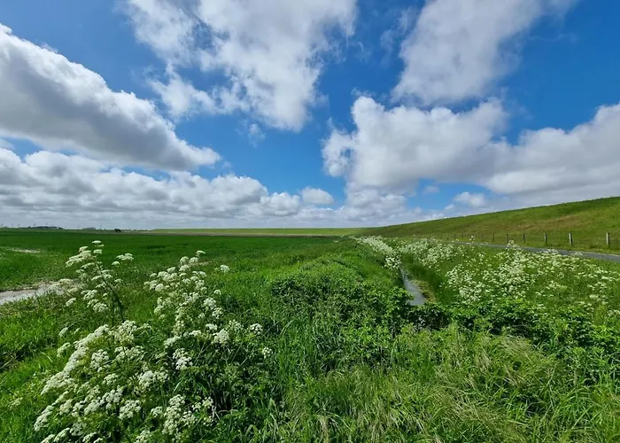 Daire Hus Achtern Diek *